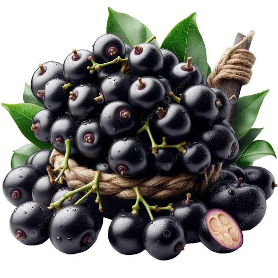 Java plum