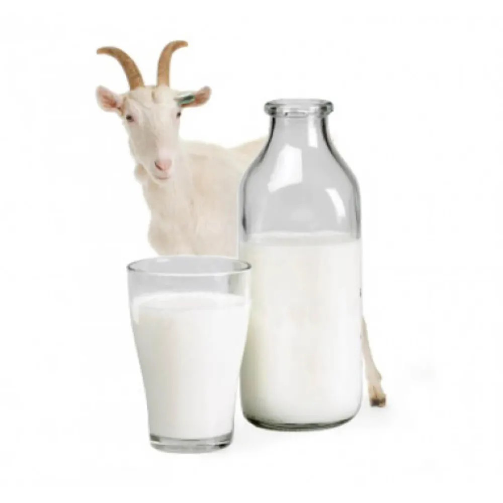 Goat Milk